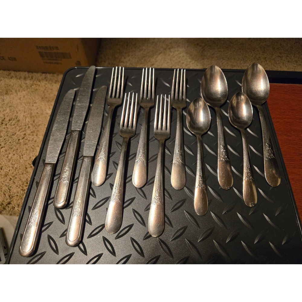 Vintage Floral Rose Stainless Steel Flatware Set 12pc Mixed Lot